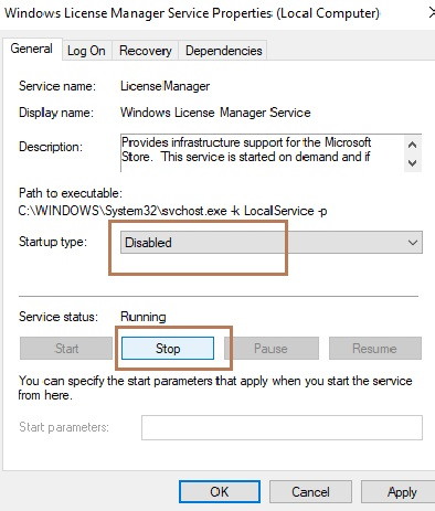Windows License Manager Service