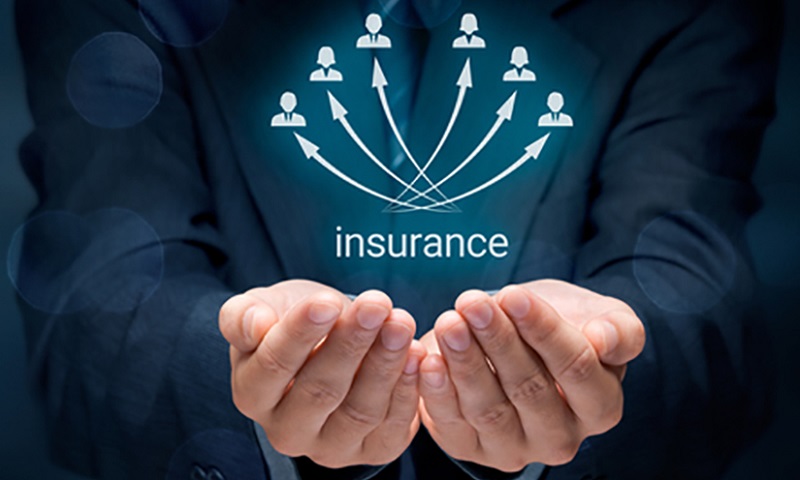 How to Land a Job in the Insurance Sector