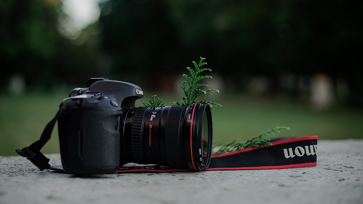 What You Need To Know About A Digital Single Lens Reflex Camera Before You Buy One