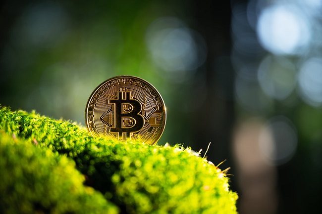 Broadening Horizons: Bitcoin And Its Impact on The Global Financial Landscape