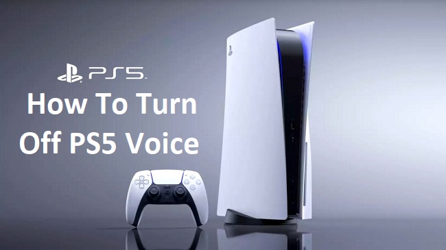 How To Turn Off PS5 Voice