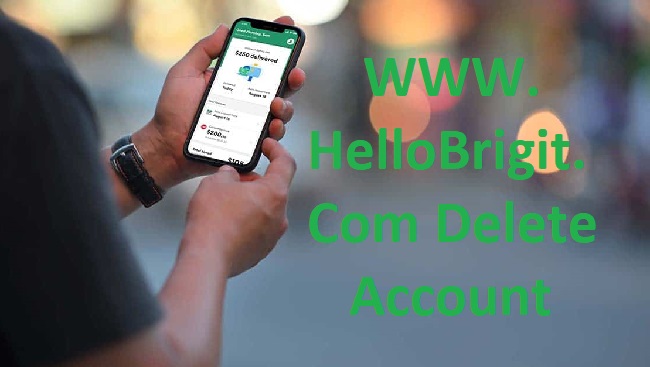 WWW.HelloBrigit.Com Delete Account